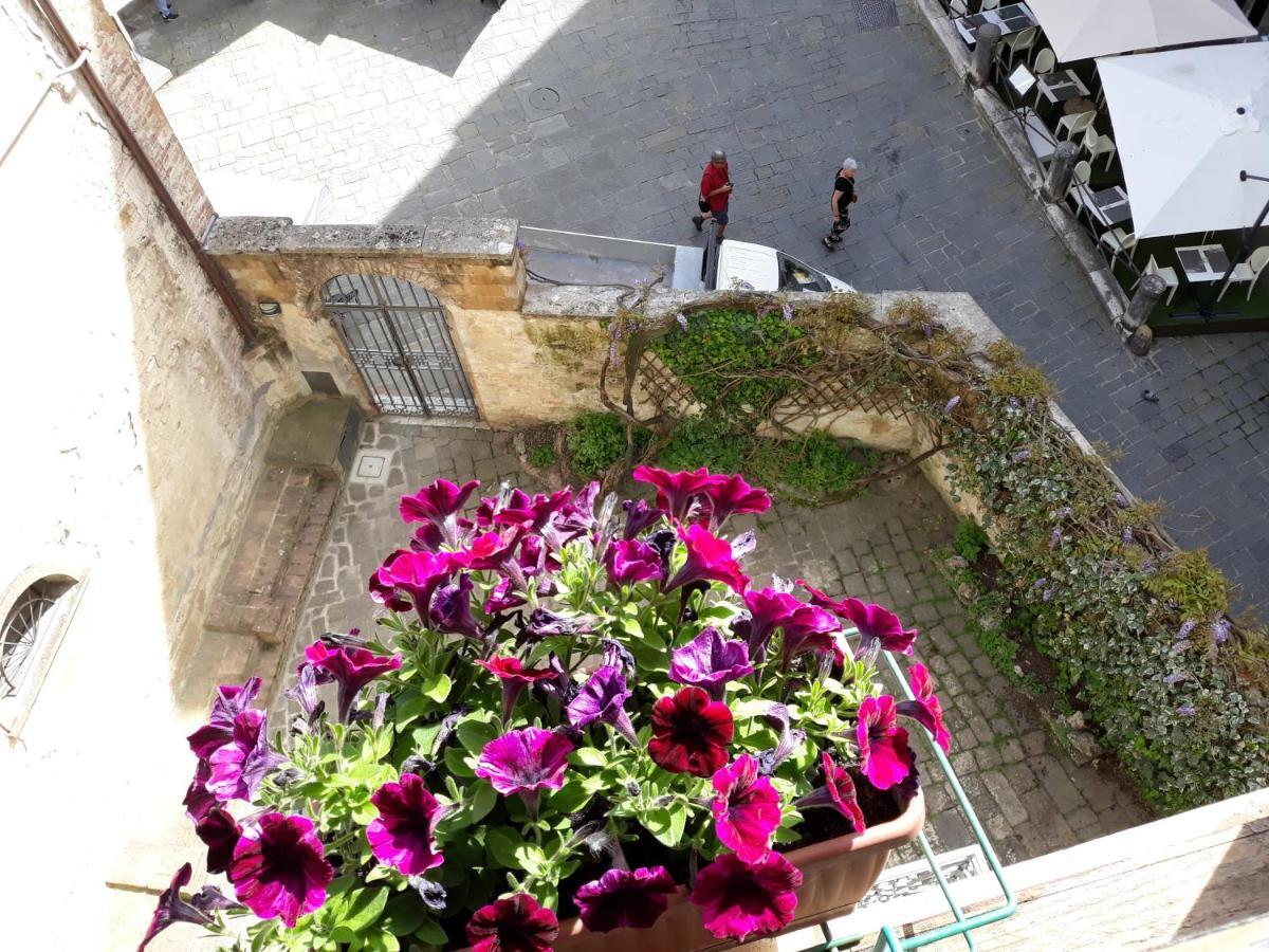 B&B Simonetta Σιένα Εξωτερικό φωτογραφία